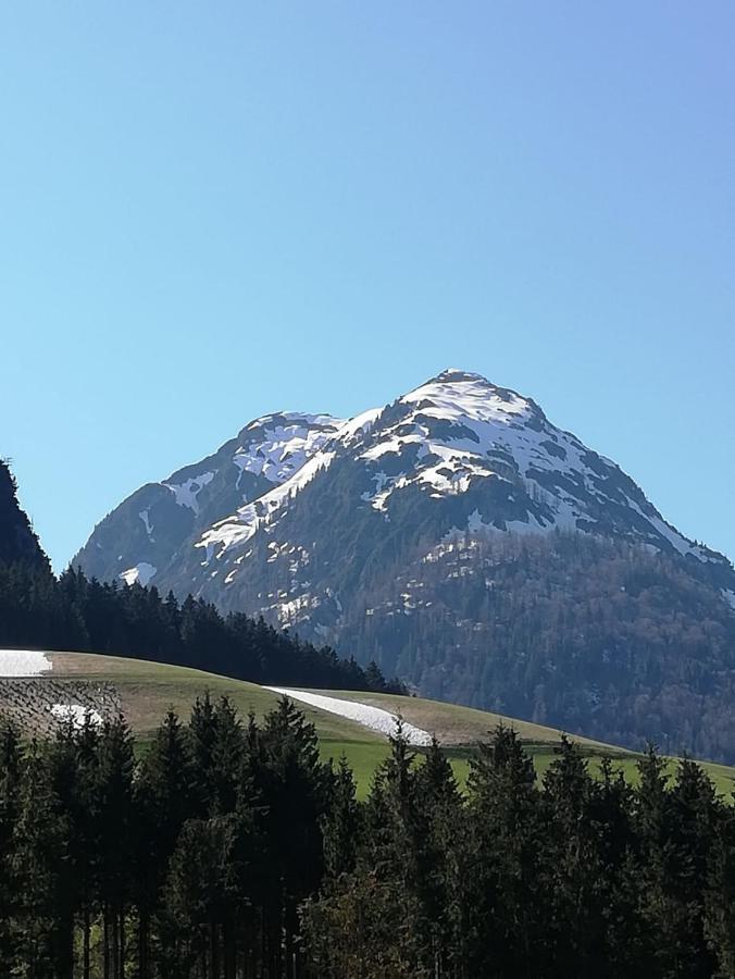 Appartement Leh Annaberg im Lammertal Esterno foto
