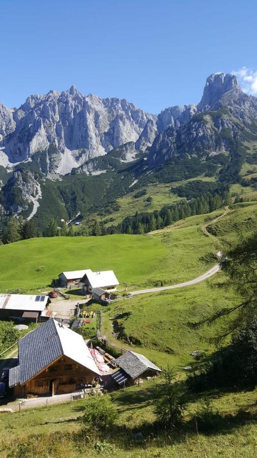 Appartement Leh Annaberg im Lammertal Esterno foto