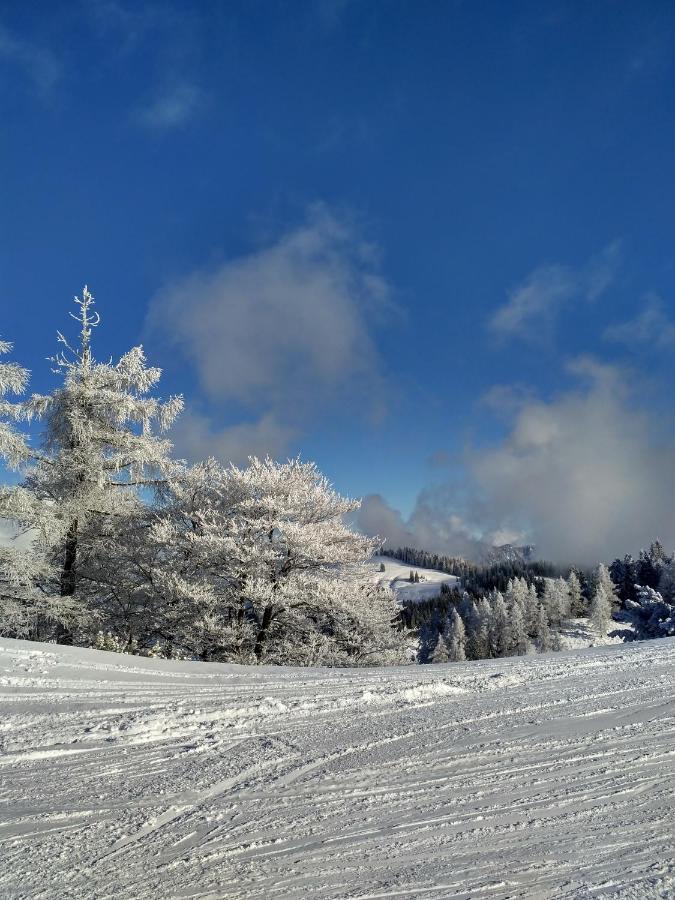 Appartement Leh Annaberg im Lammertal Esterno foto