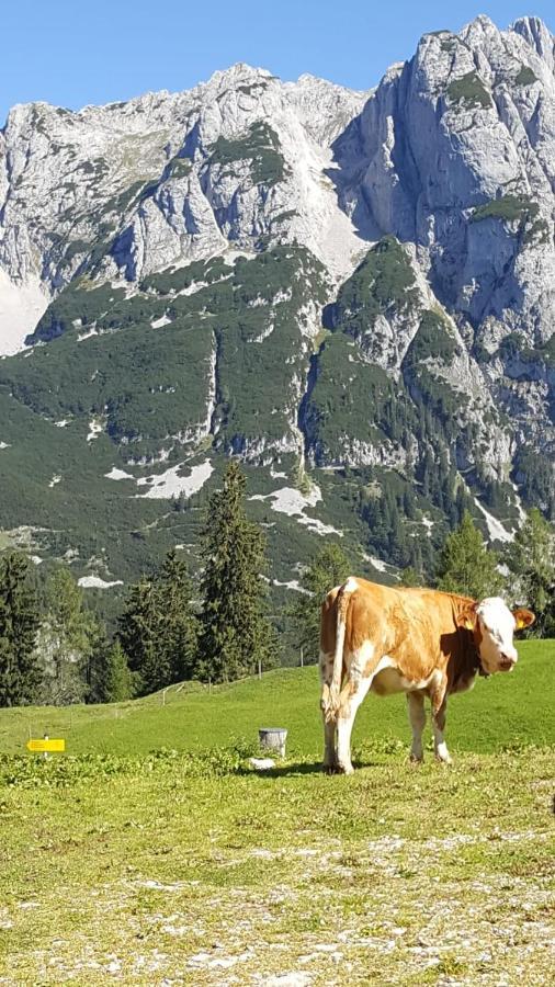 Appartement Leh Annaberg im Lammertal Esterno foto